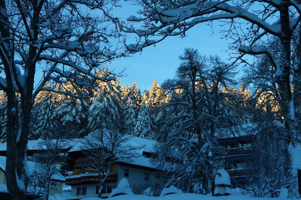 Gasthof Schwarzwaldtanne Schönwald Ngoại thất bức ảnh